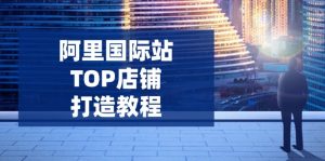 阿里国际站TOP店铺打造教程:涵盖平台到高阶,解决运营难题,提升询盘-康仁安资源
