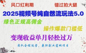 2025视频号纯自然流玩法5.0，绿色正规高佣金，操作爆款门槛低，变现收益单月轻松过万-康仁安资源