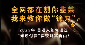 全网都在割你韭菜，我来教你做镰刀，2025年普通人如何通过 知识付费 实现财F自由【揭秘】-康仁安资源