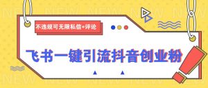 飞书一键引流抖音创业粉，不违规可 无限私信+评论-康仁安资源
