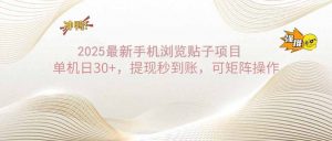 2025手机浏览帖子单机日30+，提现秒到账，可矩阵操作-康仁安资源