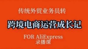 跨境电商速卖通运营课，​运营方法论+后台实操，逻辑清晰-康仁安资源