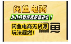 闲鱼电商实战课，从入门到精通秘籍在此，闲鱼电商无货源玩法超燃!-康仁安资源