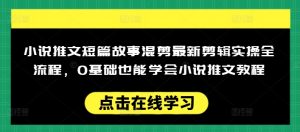 小说推文短篇故事混剪最新剪辑实操全流程，0基础也能学会小说推文教程，肯干多发日入多张-康仁安资源