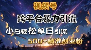 跨平台暴力引流，私域完美闭环，日引500+精准创业粉-康仁安资源