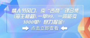 情人节风口，卖“杏商”课合集(海王秘籍-康仁安资源