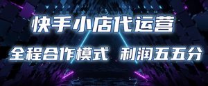 快手小店代运营 限时托管计划 合作模式 利润五五分成【揭秘】-康仁安资源