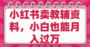 小红书卖教辅资料，0 成本，纯利润，售后成本极低，小白也能月入过W-康仁安资源