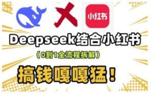 deepseek+小红书打造流量生产线实操课，0到1全流程拆解，搞钱嘎嘎猛-康仁安资源