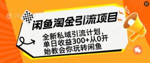 闲鱼淘金私域引流计划，从0开始玩转闲鱼，副业也可以挣到全职的工资-康仁安资源