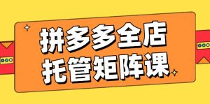 拼多多全店托管矩阵课，盈利动销玩法，高效计划设置，提升店铺效益-康仁安资源