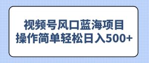 视频号风口蓝海项目，操作简单轻松日入500+-康仁安资源