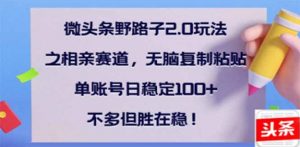微头条野路子2.0玩法之相亲赛道，无脑搬砖复制粘贴，单账号日稳定300+...-康仁安资源