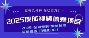 2025最新看视频躺赚收益项目 日赚1000-康仁安资源