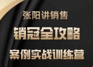 张阳讲销售实战训练营，​案例实战训练，销冠全攻略-康仁安资源