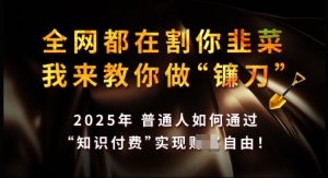 知识付费如何做到月入过W+，2025我来教你做“镰刀”【揭秘】-康仁安资源