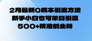 2月最新0成本引流方法，新手小白也可单日引流500+精准创业粉-康仁安资源
