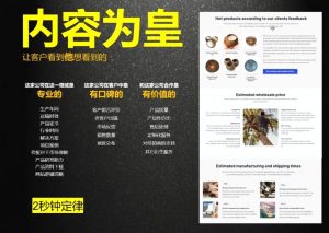 刘老师·外贸询盘增长秘籍从0到1的实战指南-康仁安资源