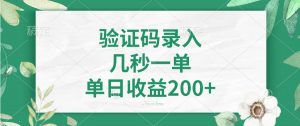 验证码录入，几秒一单，单日收益200+-康仁安资源