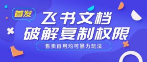 首发飞书文档破解复制权限,售卖自用均可暴力玩法-康仁安资源