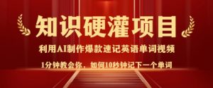 知识硬灌,10秒钟让你记住一个单词,3分钟一个视频,日入多张不是梦-康仁安资源