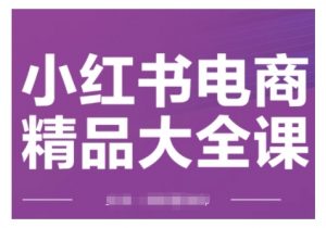 小红书电商精品大全课，快速掌握小红书运营技巧，实现精准引流与爆单目标，轻松玩转小红书电商(更新2月)-康仁安资源