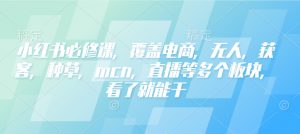 小红书必修课,覆盖电商,无人,获客,种草,mcn,直播等多个板块,看了就能干-康仁安资源