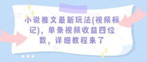 小说推文最新玩法(视频标记),单条视频收益四位数,详细教程来了-康仁安资源