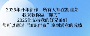 2025年开年新作，所有人都在割韭菜，我来教你做“镰刀” 2025让支持我的好兄弟们都可以通过“知识付费”拿到满意的成绩【揭秘】-康仁安资源