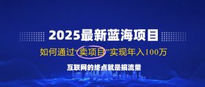2025最新蓝海项目，零门槛轻松复制，月入10万+，新手也能操作！-康仁安资源