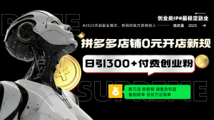 拼多多店铺0元开店新规，日引300+付费创业粉，目前方法简单复制粘贴可矩阵-康仁安资源