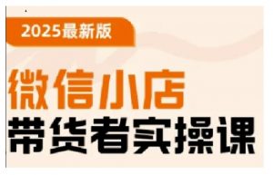 2025最新版微信小店带货者实操课,基础操作到高级运营技巧,快速上手-康仁安资源