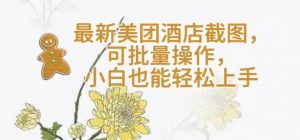 【轻云】最新美团酒店截图,可批量操作,小白也能轻松上手-康仁安资源