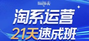 淘系运营21天速成班(更新25年2月),0基础轻松搞定淘系运营,不做假把式-康仁安资源