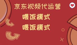 京东短视频代运营，喂饭模式，小白轻松上手【揭秘】-康仁安资源