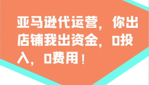 亚马逊代运营，你出店铺我出资金，0投入，0费用，无责任每天300分红，赢亏我承担-康仁安资源