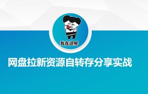 网盘拉新资源自动转存分享实战-康仁安资源
