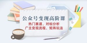 公众号变现高阶课：热门赛道、对标分析、广告主变现流程、矩阵玩法-康仁安资源