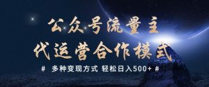 公众号流量主代运营  多种变现方式 轻松日入5张【揭秘】-康仁安资源