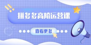 拼多多高阶运营课:极致群爆款玩法,轻付费无尽复制,打造单品爆款之路-康仁安资源