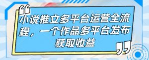 小说推文多平台运营全流程，一个作品多平台发布获取收益-康仁安资源