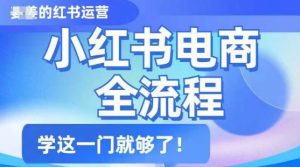 小红书电商全流程,精简易懂,从入门到精通,学这一门就够了-康仁安资源