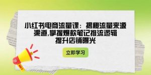 小红书电商流量课：揭秘流量来源渠道,掌握爆款笔记推流逻辑,提升店铺曝光-康仁安资源