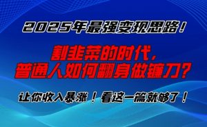 2025年最强变现思路,割韭菜的时代, 普通人如何翻身做镰刀?【揭秘】-康仁安资源