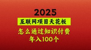 2025项目天花板，普通怎么通过知识付费翻身，年入百个【揭秘】-康仁安资源