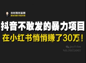 抖音不敢发的暴利项目，在小红书悄悄挣了30W-康仁安资源