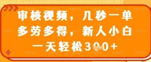 审核视频，几秒一单，多劳多得，新人小白一天轻松3张【揭秘】-康仁安资源