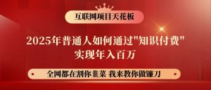 网创项目终点站-镰刀训练营超级IP合伙人，25年普通人如何通过“知识付费”年入百万-康仁安资源