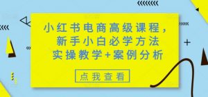 小红书电商高级课程，新手小白必学方法，实操教学+案例分析-康仁安资源
