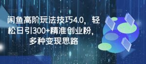 闲鱼高阶玩法技巧4.0，轻松日引300+精准创业粉，多种变现思路-康仁安资源